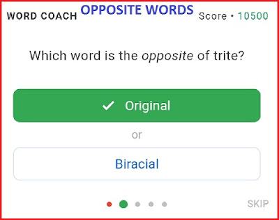 Google word coach