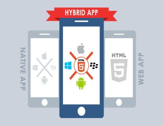Hybrid Apps Development Company in Delhi