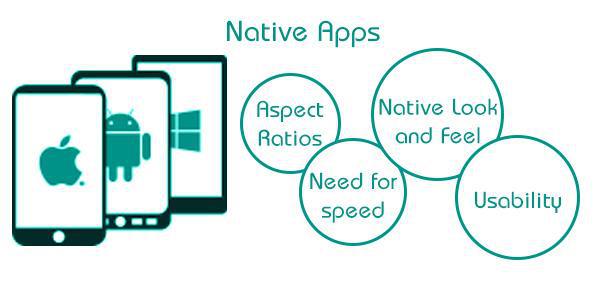Native Apps Development Agency, Company in Delhi, India