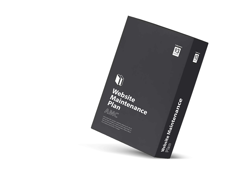 Annual Website Maintenance Services in Delhi, India Annual Website Maintenance Services in Delhi, India